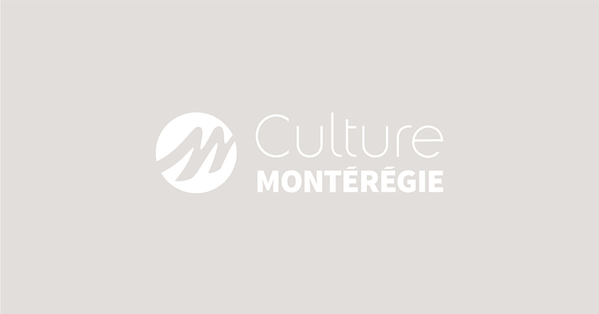 You are currently viewing Le financement de la culture en Montérégie – édition 2017