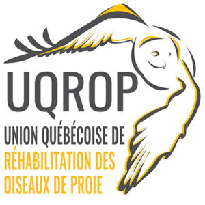 logo-union-quebecois-rehabilitation-oiseaux-proie