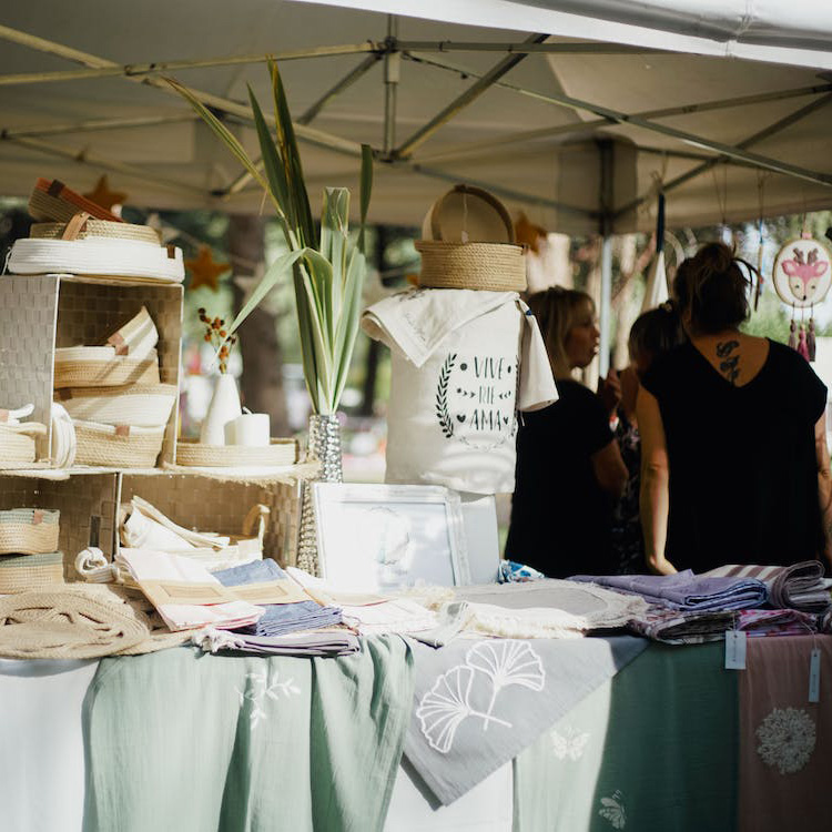 capsules-entrepreneuriat-artistique-31