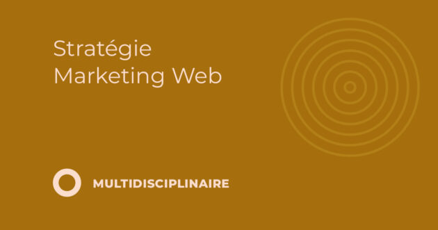 Stratégie Marketing Web (3.218)